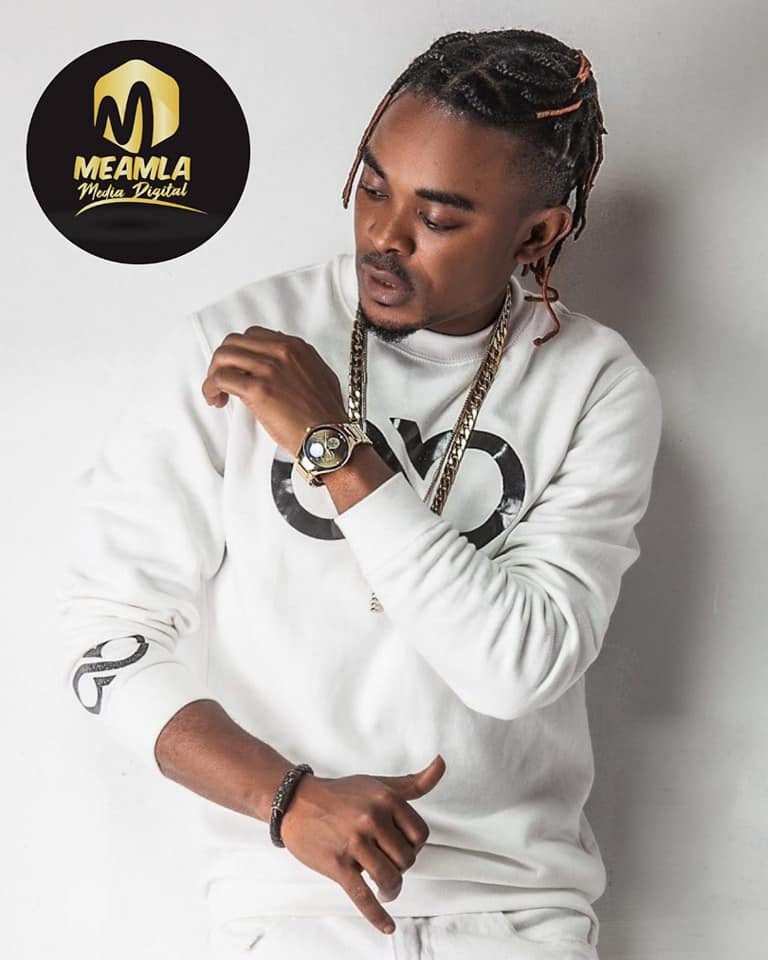 Blaise B, un talent que le public néglige — Meamla Media Digital
