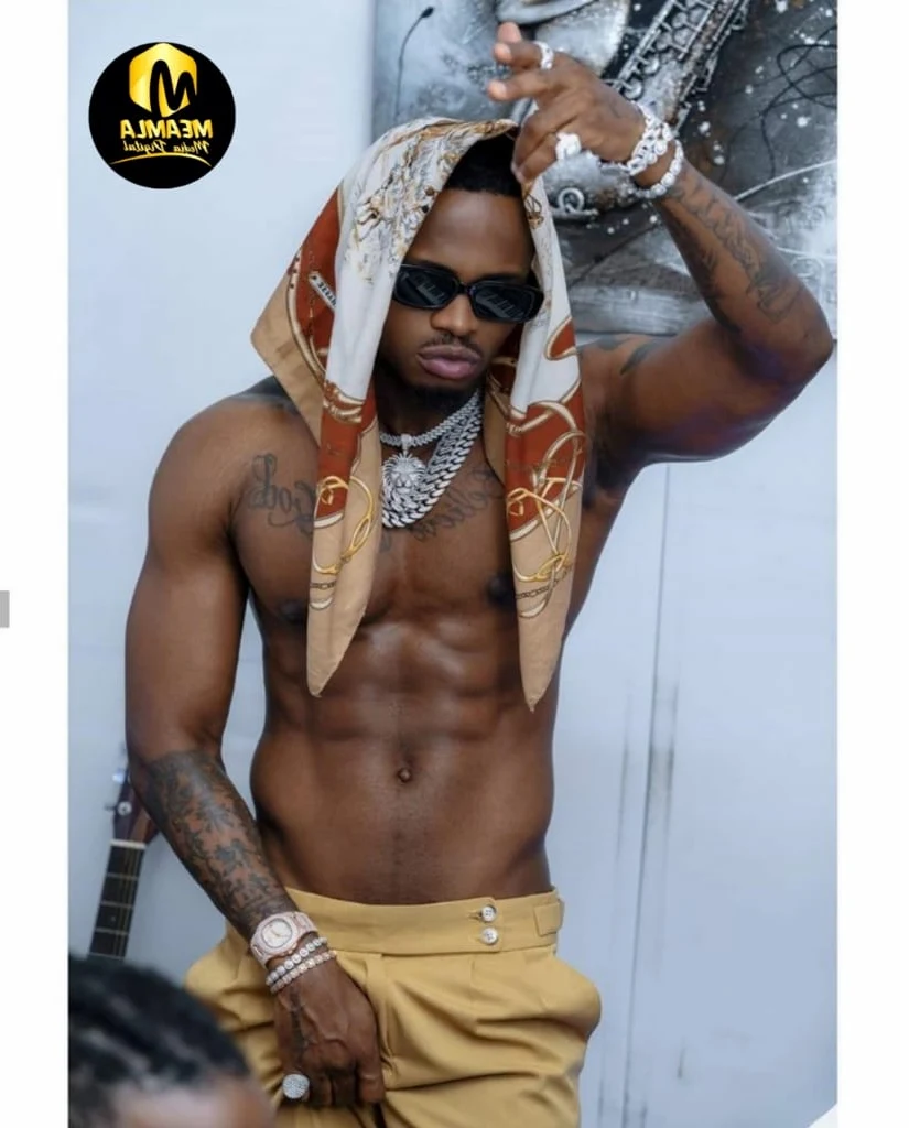 DIAMOND PLATNUMZ EN ROUTE POUR ÊTRE LE NOUVEAU MICHAEL JACKSON D’AFRIQUE — Meamla Media Digital