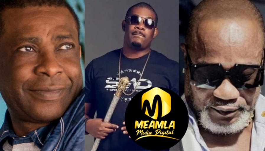 les artistes africains les plus riches en 2020