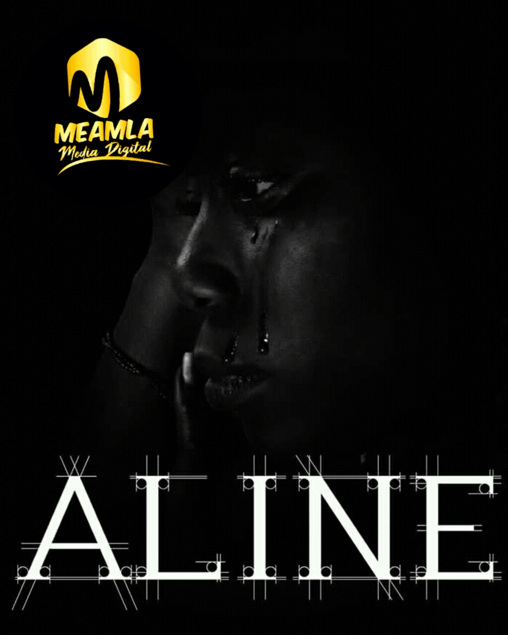 Aline : Muriel Blanche nous dévoile le titre de son prochain film.