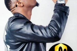 STANLEY ENOW : LE GENIE INCOMPRIS OU LE SUCCES CONTROVERSE