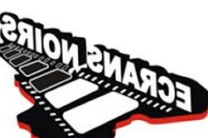 Le Cameroun aux écrans noirs