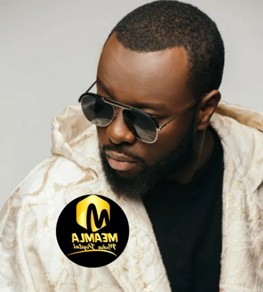 Les NRJ Music Awards 2020 : les vainqueurs — Meamla Media Digital